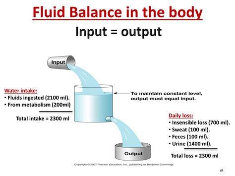 Ppt Body Fluids Homeostasis And Membrane Transport Powerpoint