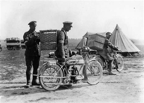 HISTÓRIA LICENCIATURA Animais na Primeira Guerra Mundial 1914 1918