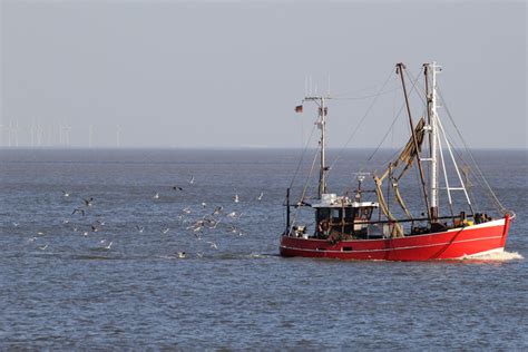 Nordsee Fangquoten Deutsche Umwelthilfe Kritisiert Beschl Sse Als