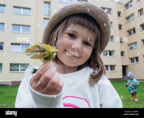 Petite Fille Tenant Une Fleur Banque De Photographies Et Dimages à