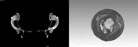 X Ray Computed Tomography China Greece Belt And Road Joint Laboratory