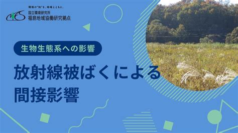 生物生態系への影響 「原子力発電所事故の間接的な影響」 Youtube