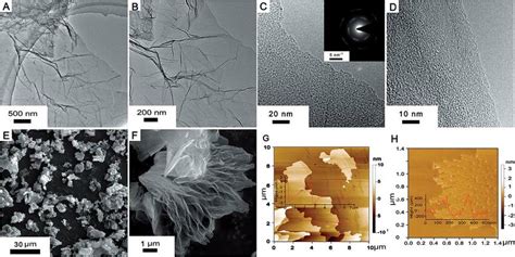 Structure And Morphology Of M Ltrgo A And B Lowmagnification Tem