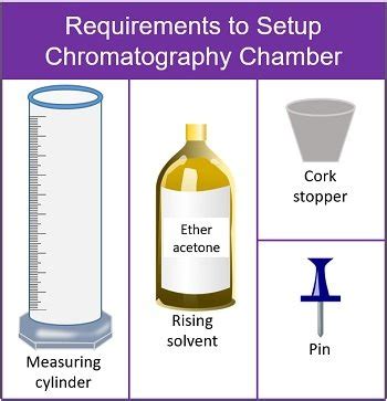 Plant Pigment Chromatography Susannewinston