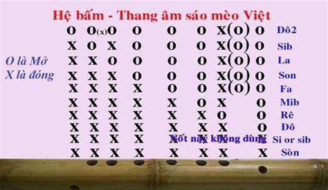 Hướng Dẫn Chơi Sáo Tàu Dizi Là Gì Đặc Điểm Của Sáo Dizi Tài Liệu Tự