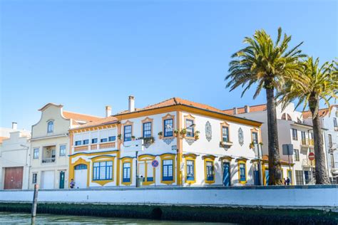 Aveiro Half Day Tour From Porto With Cruise