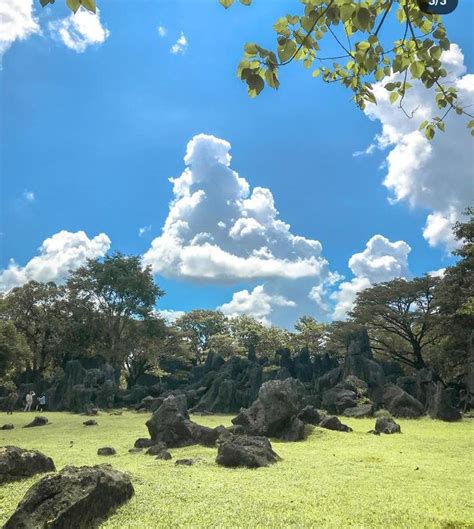 Menjelajahi Destinasi Wisata Peninggalan Zaman Purba Di Taman