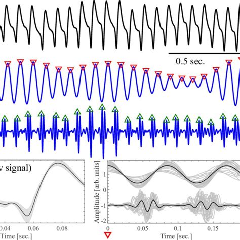 Phase Amplitude Coupling PAC Comodulograms And Harmonicity Maps For