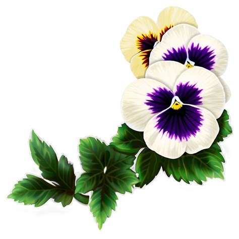 Download Pansy Border Png 29 | Wallpapers.com