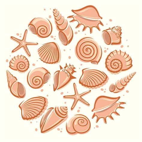 Premium Vector Seashells Set Collection Seashells Icons Vector