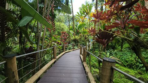 hawaii tropical bioreserve garden