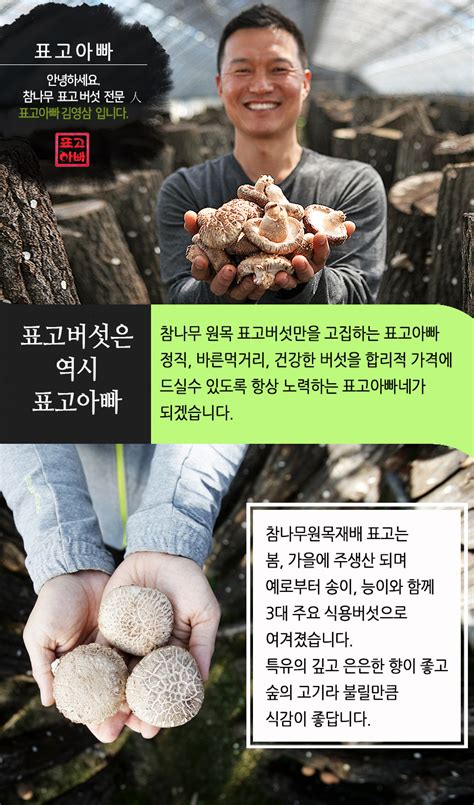 표고아빠 참나무 국산 표고버섯 선물세트 자연6호 부직가방 현대hmall