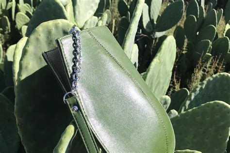 Vegan Cactus Leather Is The Latest Eco Friendly Fabric Cook It