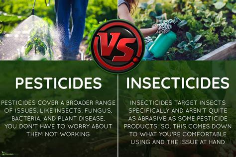 Pesticides Vs. Insecticide - Which Is Best For Your Home Vegetable Garden?