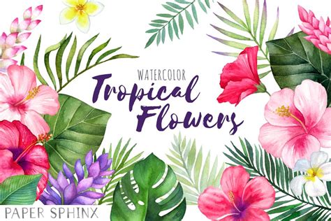 tropical flowers clip art 10 free Cliparts | Download images on ...