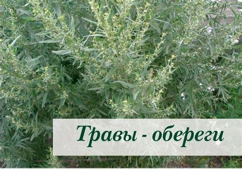 Без заголовка. Обсуждение на LiveInternet - Российский Сервис Онлайн ...