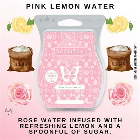 Pink Lemon Water Scentsy Bar The Candle Boutique Scentsy Uk Consultant