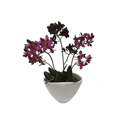 Acheter Des Fausse Orchid E Phalaenopsis Emily Pot En C Ramique Rose