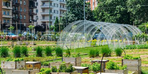 Agriculture Urbaine Terres Urbaines