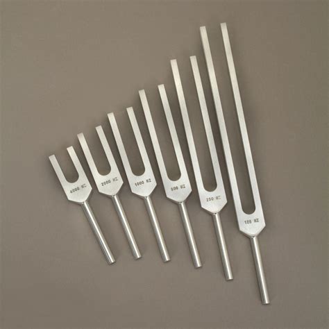 Tuning Fork Set Even Frequency Carolina