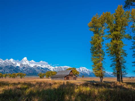 Wyoming Grand Teton National Park Aspens Autumn Colors Fal Flickr