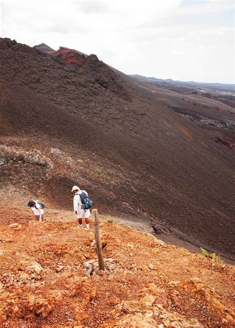 21 Galapagos Islands Volcanoes (Active, Dormant, Location Chart) | Storyteller Travel