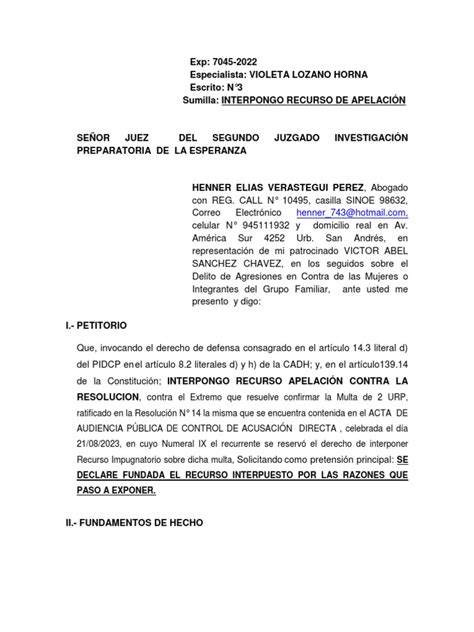 Recurso De Apelacion Pdf Apelación Gobierno