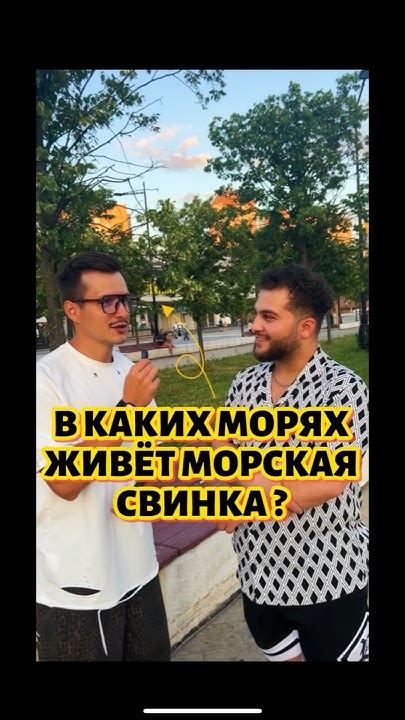#вопросответ #пранк #юмор #опрос #вопросынаулице #прикол #интервью ...