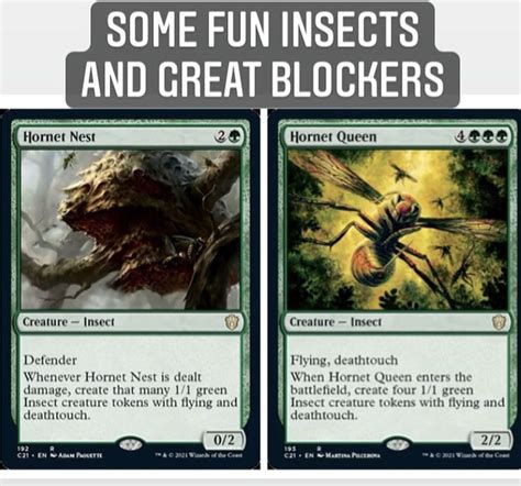 Hornet Nest Mtg