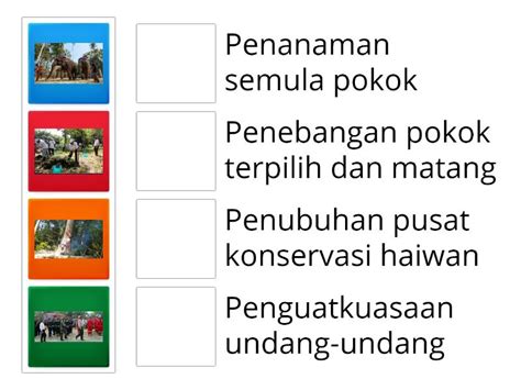 Usaha Dan Kepentingan Pemeliharaan Dan Pemuliharaan Hutan Match Up