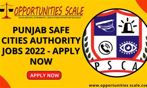 Punjab Safe Cities Authority Jobs Apply Now Opportunitiesscale