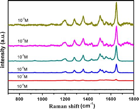 Sers Spectra Of Rhb With Various Concentrations Over Ti 3 C 2 T X Au