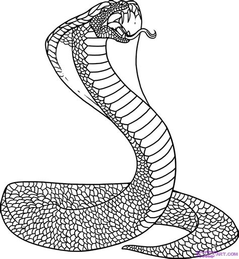 Snake Outline Drawing at PaintingValley.com | Explore collection of ...