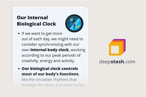 Our Internal Biological Clock Deepstash