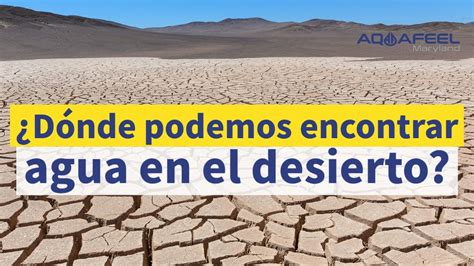 Aquafeel Maryland Dónde podemos encontrar agua en el desierto YouTube