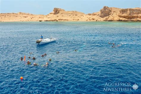 Red Sea Aggressor Ii Dive Adventure Travel