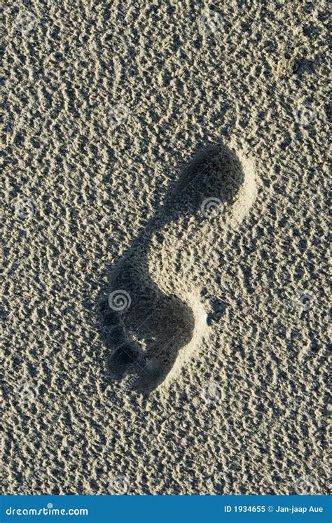 Empreinte De Pas Nue Sur La Plage De Schiermonnikoog Image Stock