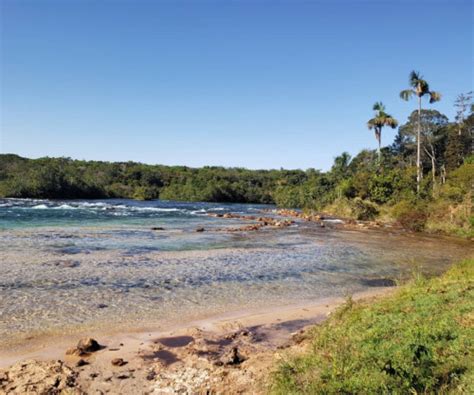 Campo Novo do Parecis onde fica o que fazer dicas e informações