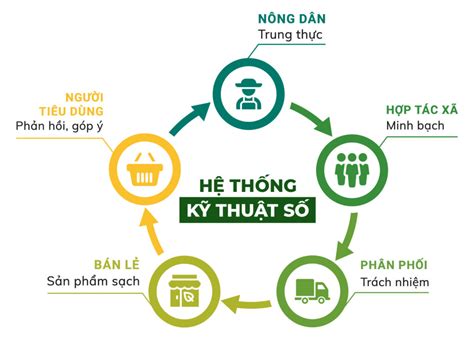 Truy Xuất Nguồn Gốc Blockchain là gì