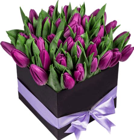 Tulips Flowers Sticker Tulips Flowers Discover Share Gifs