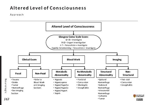 ALTERED LEVEL OF CONSCIOUSNESS: Approach - Blackbook : Blackbook