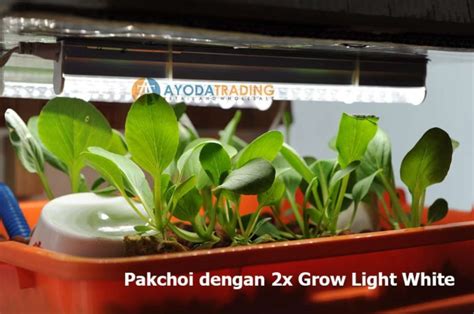 Promo Led Grow Light Lampu Tanaman Aquaponic Hydroponic White Paket 4