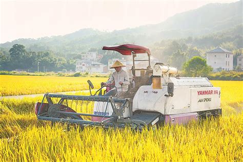 龍岩市多措並舉保障糧食安全 民生資訊福建省人民政府門戶網站