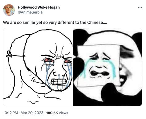 Chinese Panda Memes Vs Wojaks Chinese Panda Reaction Images