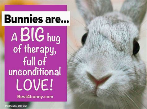 Bunny Quotes Big Hugs Unconditional Love