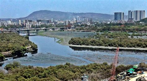 Hardlook: Cleaning Mithi river | Mumbai News - The Indian Express