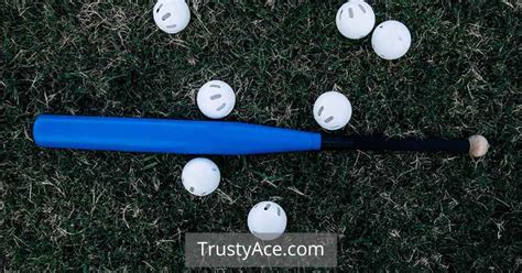 7 Best Wiffle Ball Bat Reviews To Elevate Your Game