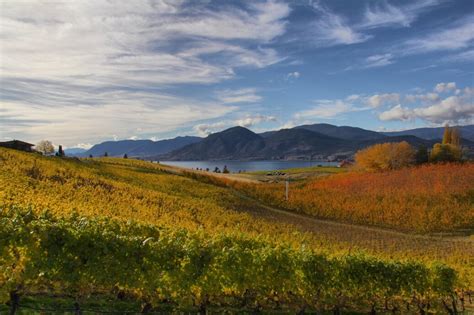 Naramata Bench Wineries Association — Discover Naramata