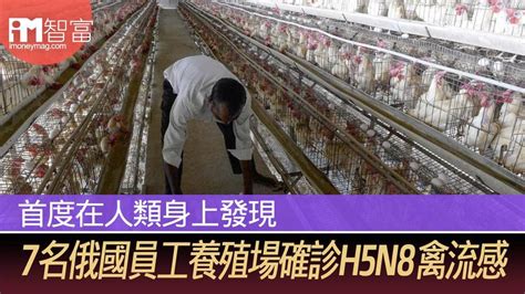 首度在人類身上發現 7名俄國養殖場員工確診h5n8禽流感