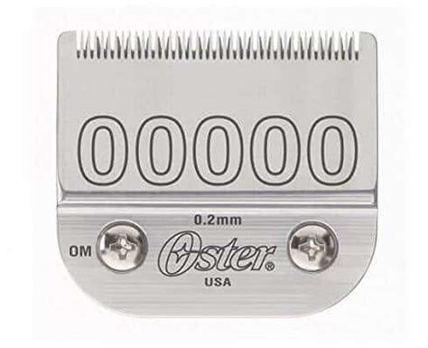 Oster Model 10 Review: An overview